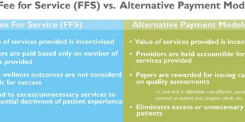 Alternatives-to-FFS.