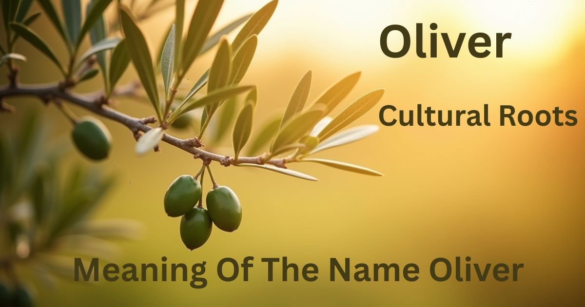 Oliver-–-Name-Meaning-Cultural-Roots-Symbolism.