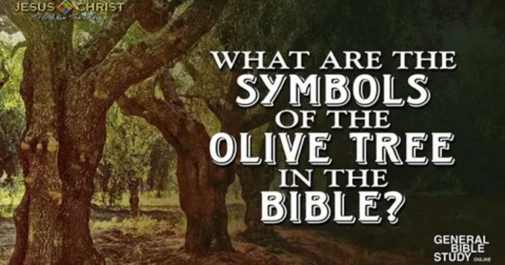 What-Is-the-Meaning-of-Oliver-in-the-Bible.