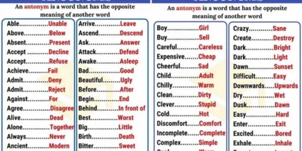 antonyms-of-perspective-with-meaning-and-example