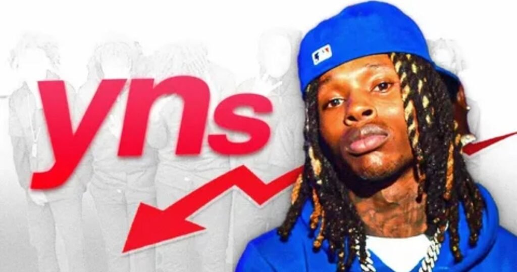 YNS-in-Everyday-Communication.