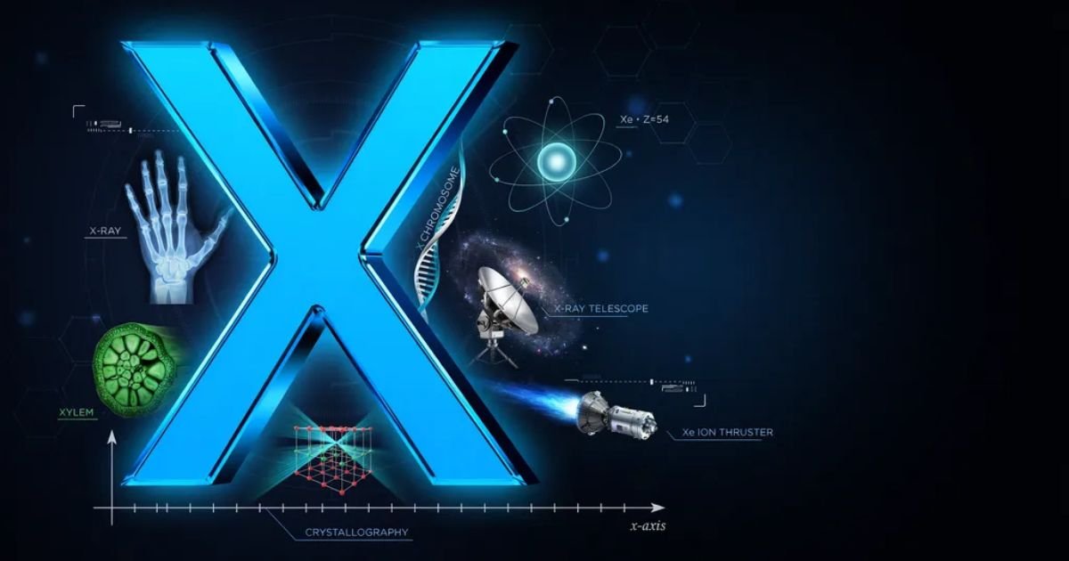 Biology-Science-Words-That-Start-With-X.